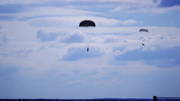 Due Paracadutisti Scendono Terra Skydiving Paracadute Jumping Concetto Sport Estremo — Video Stock