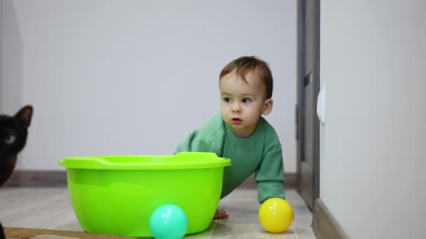 Niedliche Baby Junge Kriecht Für Seine Kugel Die Waschschüssel Schwarze — Stockvideo