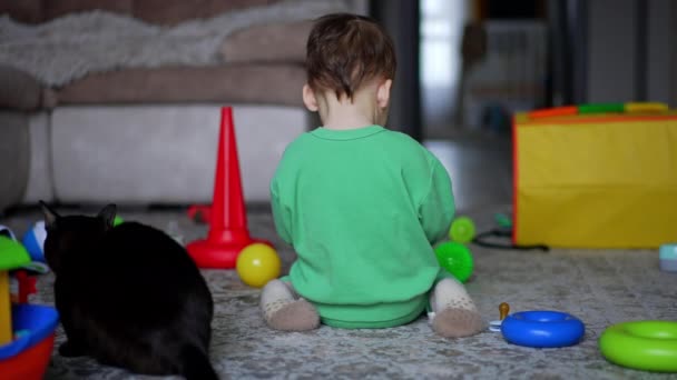 Kameraya Arkasını Dönmüş Oyuncaklarla Oynayan Küçük Bir Çocuk Bebek Döner — Stok video