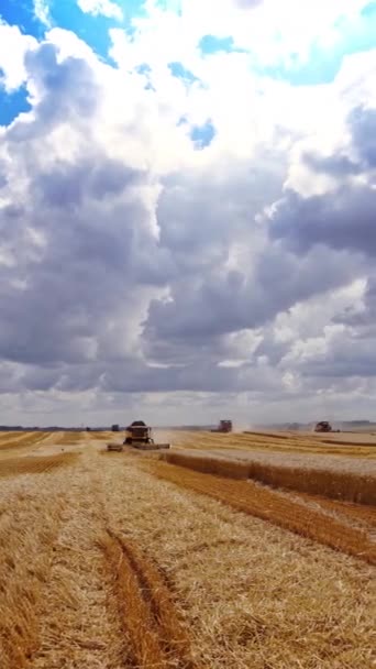 Trabalhos Agrícolas Sob Céu Azul Nublado Máquinas Que Recolhem Culturas — Vídeo de Stock