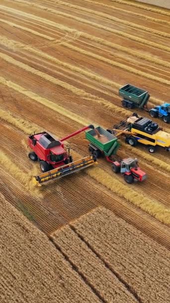 Buğday Hasat Eden Tarım Makineleri Karavana Tahıl Döken Hasat Makineleri — Stok video