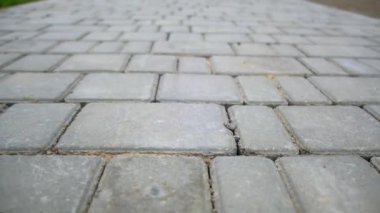 Değişik boyutlarda gri tuğladan yapılmış bir asma. Beton kaldırım levhaları boyunca gidiyor. Kapat..