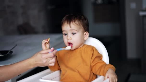 Mom Hand Giving Spoonful Porridge Toddler Sitting Feeding Chair Kid — Stock Video