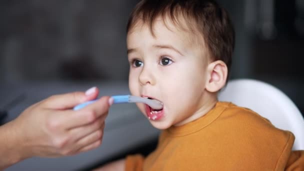 Alimentar Miúdo Caucasiano Olhos Cinzentos Colher Nutrir Uma Criança Casa — Vídeo de Stock