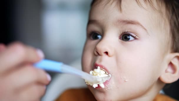 Schönes Kleines Kind Das Milchprodukte Vom Löffel Isst Entzückendes Kind — Stockvideo