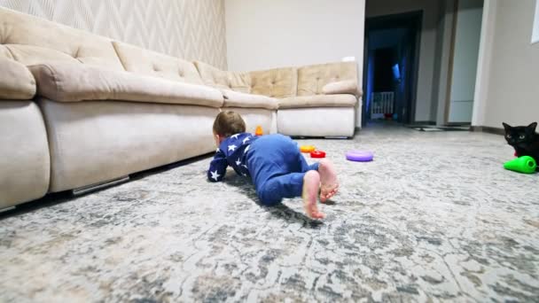 Bambino Attivo Striscia Vicino Pavimento Guardando Sotto Divano Ragazzo Tira — Video Stock