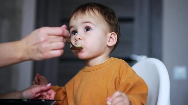Bonito Menino Caucasiano Comendo Colher Boa Criança Almoçando Casa Fecha — Vídeo de Stock