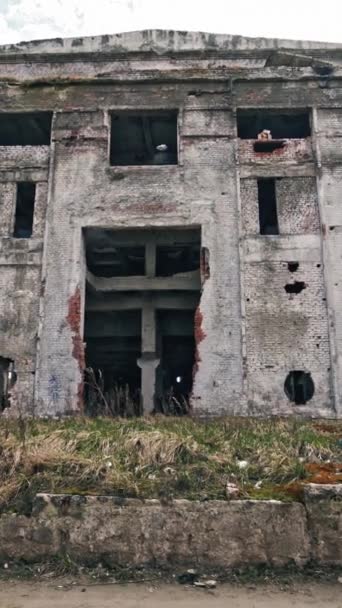 Verlassene Industriebauten Ruinen Einer Alten Fabrik Vertikales Video — Stockvideo
