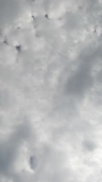 Кучевые Облака Строятся Небе Облачный Пейзаж Почти Полностью Покрывает Горизонт — стоковое видео