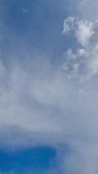 異なる種類の雲が青空に漂っている 白く濃い雲が空を覆っている タイムラプス バーティカルビデオ — ストック動画