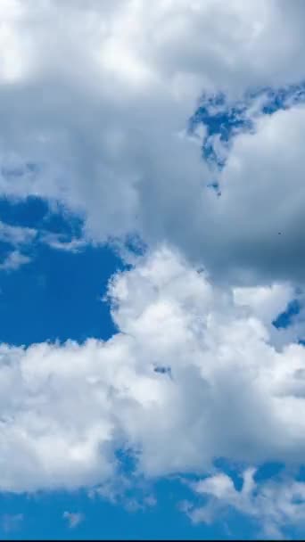 白い雲が通過する明るい青い空 柔らかい雲が大気中に変化する タイムラプス バーティカルビデオ — ストック動画