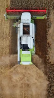 Tarım makineleri hasat mevsiminde olgun tarlalarda çalışıyor. Tarlada hareket eden ve buğday biçen büyük bir birleşim. Kuş bakışı. Dikey video