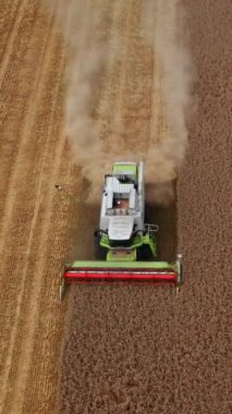 Buğday tarlasında mevsimlik işler. Kuru buğday dikenlerini kesip arkasında ağır tozlu izler bırakıyor. Yukarıdan bak. Dikey video