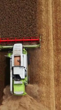 Olgun kuru buğday tarafından kolayca kayan hasat makinesi. Çiftlik arazisine hava perspektifi biçilmiş. Dikey video
