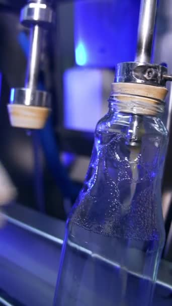 Butelki Szklane Wypełnione Świeżo Wyciskanym Sokiem Jabłkowym Zamknij Drzwi Zautomatyzowany — Wideo stockowe