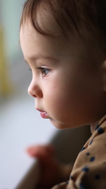 可爱的蹒跚学步的男孩站在窗前 宝宝好奇地看着窗户 靠近点模糊的背景 垂直录像 — 图库视频影像