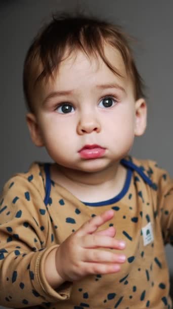 Cute Grey Eyed Dark Haired Kid Sitting Floor Indoors Baby — Stock Video