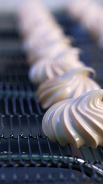 Beautifully Shaped Zephyr Desserts Grid Conveyor Tasty Healthy Sweets Production — Stock Video
