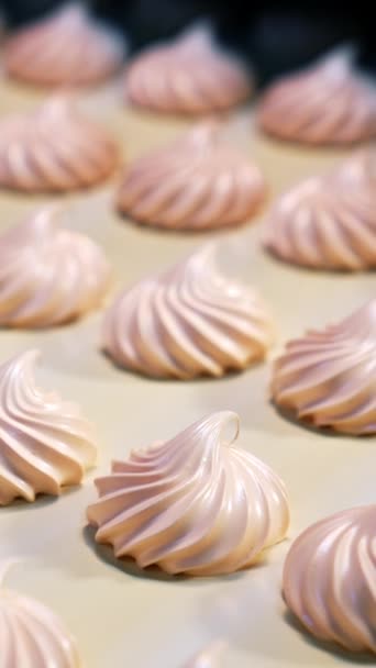 Roze Romige Zephyrs Productie Voedselfabriek Hartige Desserts Bewegen Zich Langs — Stockvideo