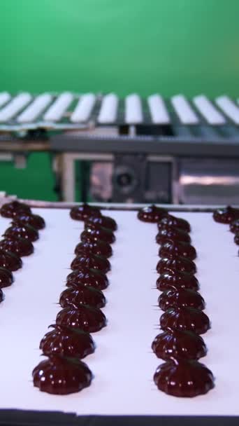 棉花糖糖果 新鲜的覆盖着闪亮的巧克力 在现代糖果厂运送甜甜点的输送带 垂直录像 — 图库视频影像