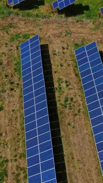 Pannelli Solari Tra Natura Lunghi Filari Pannelli Fotovoltaici Blu Sul — Video Stock