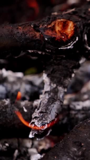 Brennende Holzscheite Warme Flamme Auf Schwelenden Baumstämmen Brennendes Holz Zum — Stockvideo