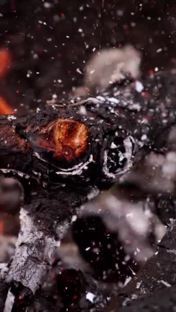 Drewniane Kłody Jasnym Ogniu Wędzone Kłody Iskrami Ognisku Drewniany Kij — Wideo stockowe