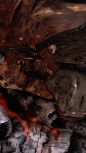 燃烧着的柴火和木头 干木和树皮在火中燃烧 木制原木的燃烧 垂直录像 — 图库视频影像
