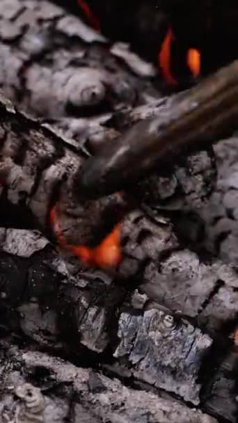 Braci Pronte Legno Barbecue Carbone Incandescente Bistecche Calde Legna Che — Video Stock