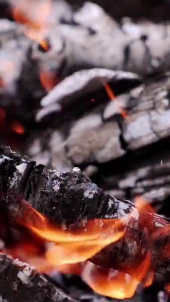Motion Wooden Logs Fire Wooden Stick Turning Smoldered Logs Glowing — Stock Video