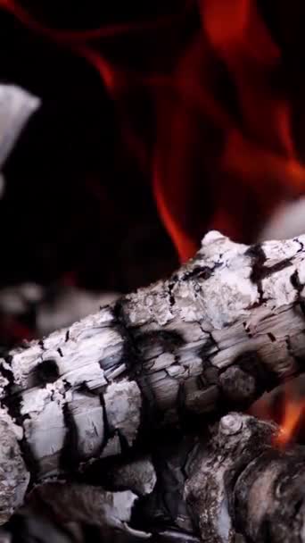 Świecące Kłody Dymem Ogniu Gorące Żary Drewnianych Kłód Płonących Ciemnym — Wideo stockowe