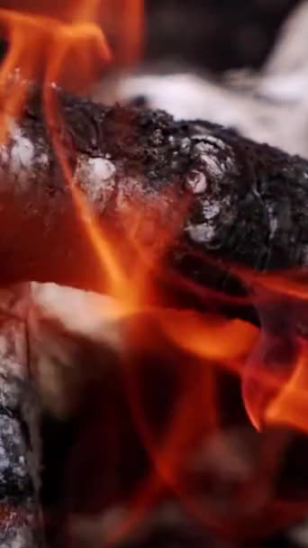 Holzstämme Orangefarbener Flamme Brennendes Holz Feuer Bewegung Roter Feuerzungen Über — Stockvideo