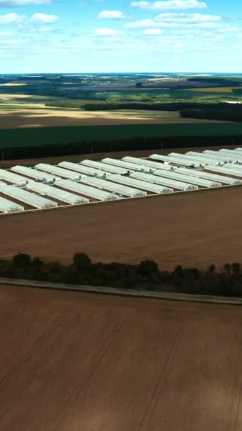 農業分野における大型農場の外観 自然の背景に白い建物がある現代工場 空からの眺め バーティカルビデオ — ストック動画