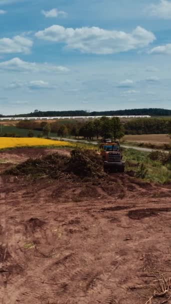 拖拉机在战场上工作 大自然中的农业机械 夏天的时候 乡村一片黄色的田野 垂直录像 — 图库视频影像