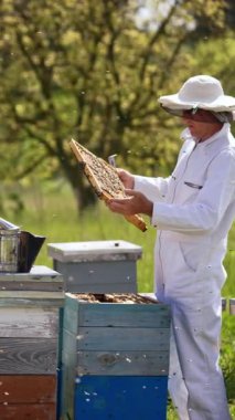 Beyaz elbiseli ve koruyucu şapkalı bir erkek arı yetiştiricisi arı kovanından görüntü alıyor. Duman, ahşap kovanın üzerindeki bir tiryakiden geliyor. Arka planda bulanık bir bahçe. Dikey video