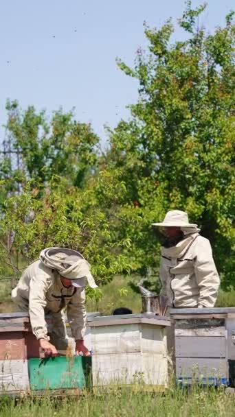 Kleine Bijenboerderij Met Houtkorven Fruittuin Ervaren Mannelijke Apiculturist Werkzaam Bij — Stockvideo