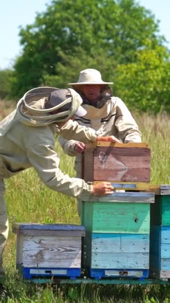 ミツバチ農場で忙しい養蜂家 若いアペルニストは木製のハーブを持ち上げて 別の場所に持っていく 自然の背景 バーティカルビデオ — ストック動画