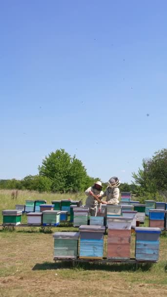 森の近くの牧草地にある木製のハチの小さな養蜂場 ハニーフレームをチェックする2人の養蜂家 晴れた日の背景 バーティカルビデオ — ストック動画