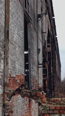 Hasarlı tuğla duvarları ve çatısı yosun kaplı metal yapıları olan ve içi ve dışı aşırı büyüyen eski fabrika binaları. Hava görüntüsü. Dikey video