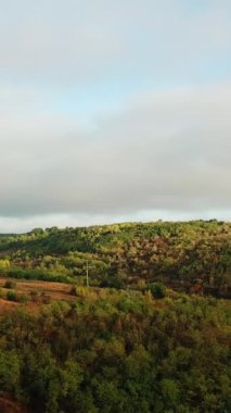 Kahverengi çayırlar ve tarlaları olan kırsal alanların güzel manzarası. Gökyüzünün altında tepeler ve ormanlar olan doğal çevre manzarası. Kameranın yavaş hareketi Dikey video