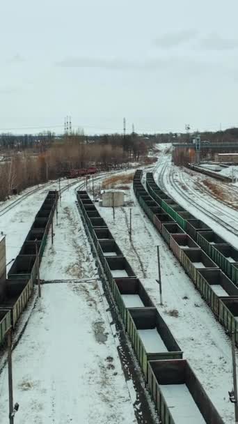 Dlouhé Řady Kontejnerů Stojí Kolejích Území Železnice Přeprava Pohyb Kamery — Stock video