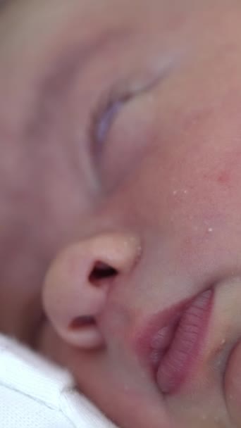 愛らしい赤ん坊はひよこの下で手で平和に眠っています ロージーチーク 小さな鼻と唇が閉じています バーティカルビデオ — ストック動画