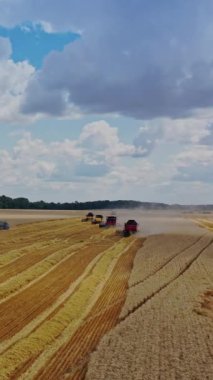 Sahada çalışan modern makineler. Tarım ürünleri toplayan hasatçıları kombine et. Mevsimlik işler. Hava görüntüsü. Dikey video