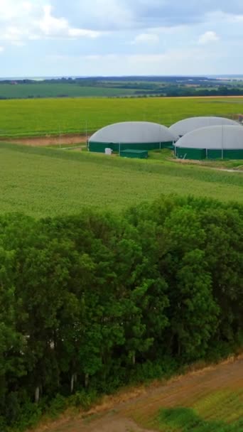 Biogas Plant Agricultural Greenhouse Complex Modern Farm Storage Tanks Green — Stock Video