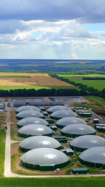 Fazenda Biogás Campos Verdes Energia Renovável Partir Biomassa Planta Agrícola — Vídeo de Stock