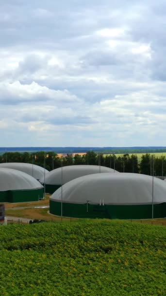 Large Reservoirs Field Modern Bio Gas Plant Green Field Blue — Stock Video