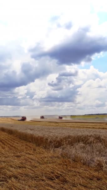 农业领域 联合收割机在田里收割成熟的小麦 农田里的庄稼旺季 垂直录像 — 图库视频影像