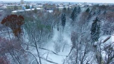 Kış mevsiminde şehrin engin manzarası. Parkta karla kaplı ağaçlar üst perspektiften.