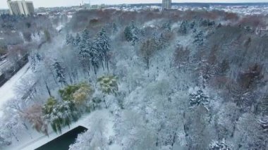 Bir sürü ağacı olan karlı beyaz bir park. Arka planda güzel bir kış gününde şehir panoraması. Üst görünüm.