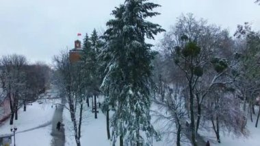 Şehir parkındaki ağaçlar ve köknar ağaçları. Eski kule ve arka planda çok katlı binalar. Hava görünümü.